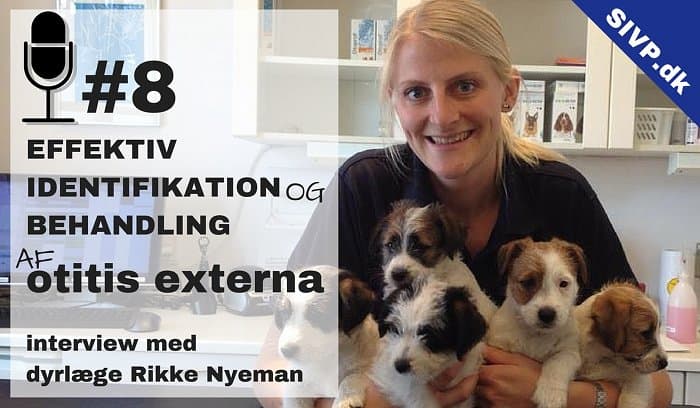 Dyrlæge Rikke Nyeman fortæller om identifikation og behandling af otitis externa (øregangsbetændelse) hos hunde