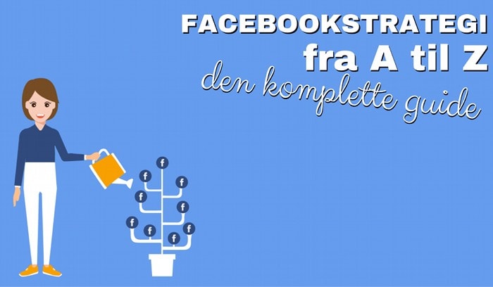 facebookstrategi facebookstrategi