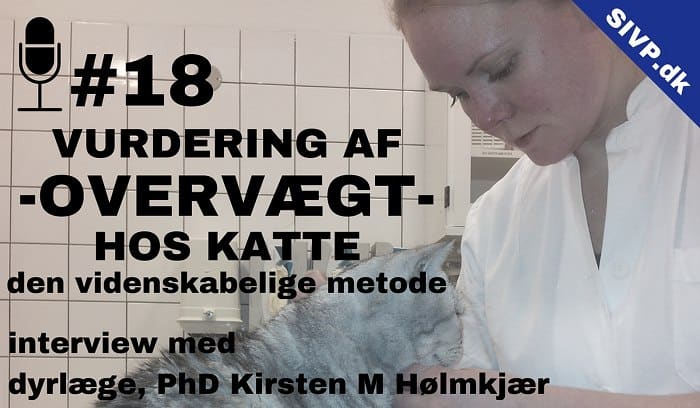 body condition score kat og dexa scanning for fedtprocent til vurdering af overvaegt hos katte kirsten holmkjaer