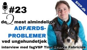 Tine Sværke Fabricius ekspert i hunde med adfærdsproblemer og træning