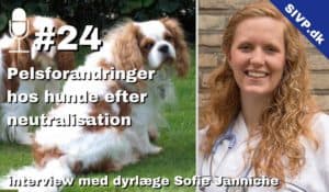 pelsforandringer hos hunde efter sterilisation og kastration sofie janniche
