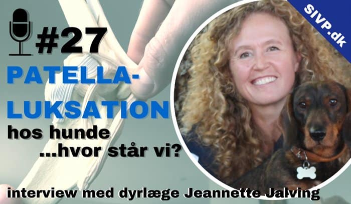 Dyrlæge Jeannette Jalving fortæller om forskellige operationer for patellaluxation hos hund