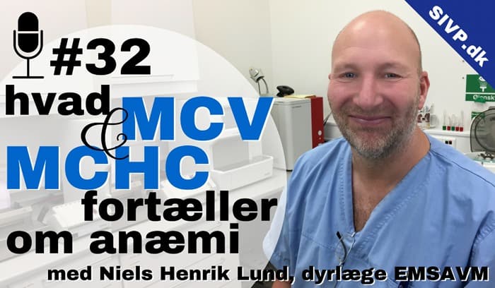 MCV (erytrocytvolumen) og MCHC tolkning ved anæmi dyrlæge niels henrik lund