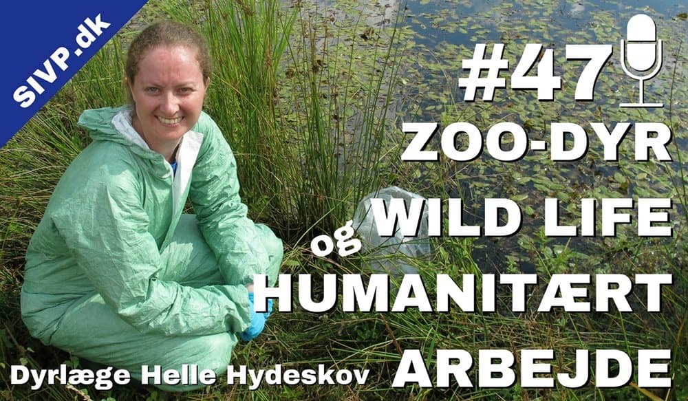 Dyrlæge Helle Hydeskov der arbejder med pool frogs, andet wild life og zoo dyr