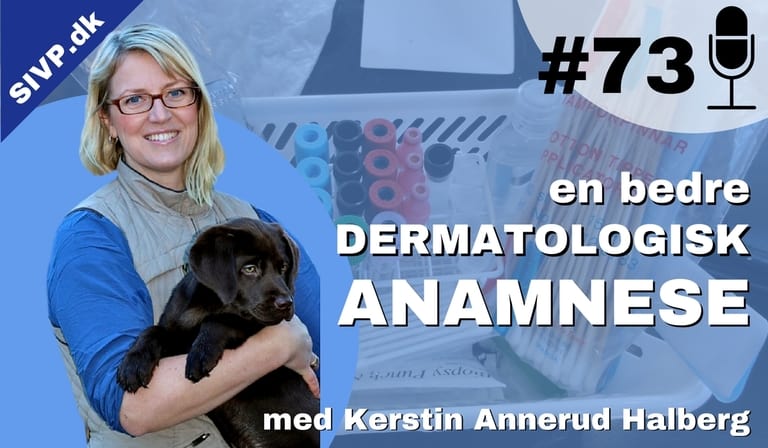 Tips til en bedre anamnese til den dermatologiske og kløende hudpatient