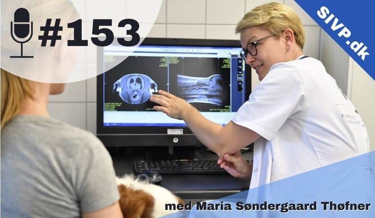 Syringomyeli hos hunde: Undgå at misse de særlige smerter med Maria Søndergaard Thøfner