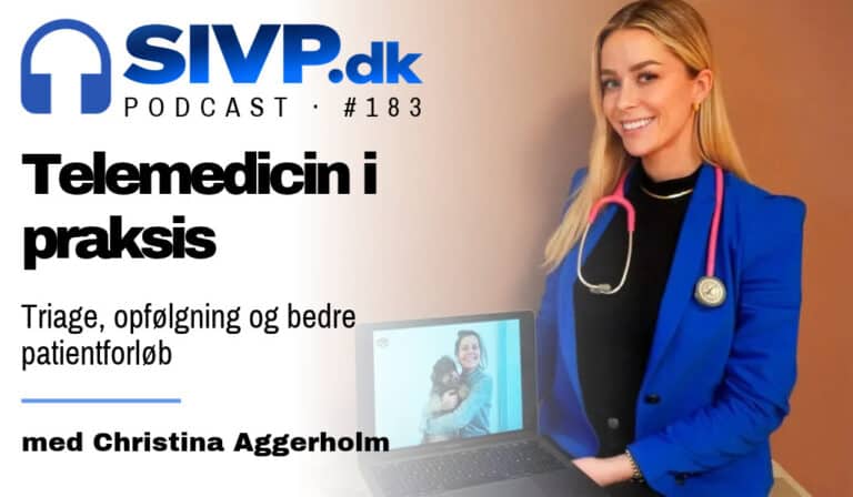 183-telemedicin-i-praksis-christina-aggerholm